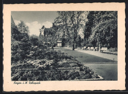 AK Hagen I. W., Strassenpartie Im Volkspark  - Hagen