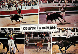 Corrida - La Course Landaise - Multivues - Carte Neuve - CPM - Voir Scans Recto-Verso - Corrida