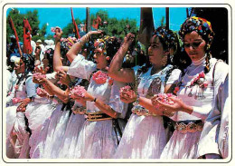 Maroc - Maroc Typique - Groupe Folklorique - CPM - Voir Scans Recto-Verso - Autres & Non Classés