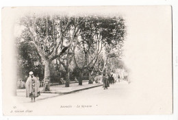 34169 /⭐ AUMALE Square ( CARNOT ) Platane Fontaine 1890s GEISER 15 Algérie Algeria Algerien Argelia Algerije - Autres & Non Classés