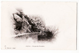 34176 /⭐ PALESTRO Les Gorges Route 1890s GEISER 16 Algérie Algeria Algerien Argelia Algerije - Other & Unclassified