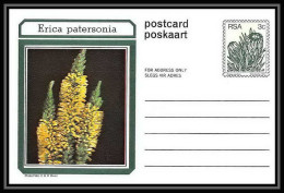 1742/ Afrique Du Sud (RSA) Entier Stationery Carte Postale (postcard) Fleurs Flowers Erica Neuf Tb  - Cartas & Documentos