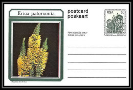 1742/ Afrique Du Sud (RSA) Entier Stationery Carte Postale (postcard) Fleurs Flowers Erica Neuf Tb  - Brieven En Documenten