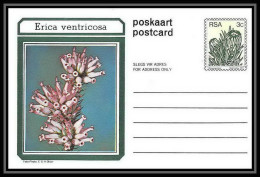 1739/ Afrique Du Sud (RSA) Entier Stationery Carte Postale (postcard) Fleurs Flowers Erica Neuf Tb  - Brieven En Documenten