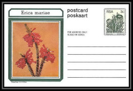 1744/ Afrique Du Sud (RSA) Entier Stationery Carte Postale (postcard) Fleurs Flowers Erica Neuf Tb  - Cartas & Documentos