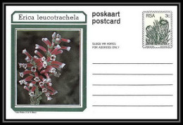 1741/ Afrique Du Sud (RSA) Entier Stationery Carte Postale (postcard) Fleurs Flowers Erica Neuf Tb  - Cartas & Documentos