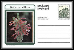 1737/ Afrique Du Sud (RSA) Entier Stationery Carte Postale (postcard) Fleurs Flowers Erica Neuf Tb  - Covers & Documents