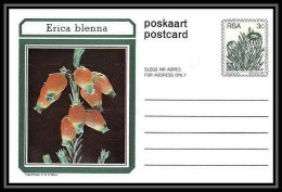 1740/ Afrique Du Sud (RSA) Entier Stationery Carte Postale (postcard) Fleurs Flowers Erica Neuf Tb  - Covers & Documents
