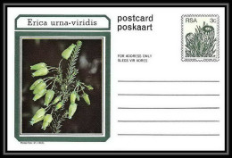 1735/ Afrique Du Sud (RSA) Entier Stationery Carte Postale (postcard) Fleurs Flowers Erica Neuf Tb  - Cartas & Documentos
