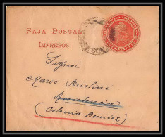 4112/ Argentine (Argentina) Entier Stationery Bande Pour Journal Newspapers Wrapper N°29 Colonia Benitez - Interi Postali