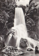 AK 215774 GERMANY - Lichtenhainer Wasserfall - Sächsische Schweiz - Autres & Non Classés