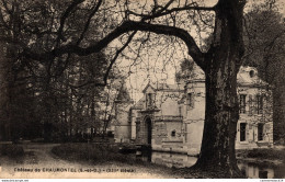 NÂ°38452 Z -cpa ChÃ¢teau De Chaumontel - Castles