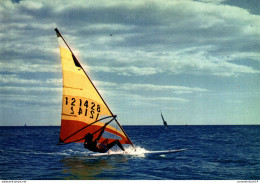 NÂ°39731 Z -cpsm La Planche Ã  Voile - Voile