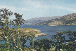 Loch Sunart, Argyll, Scotland -   Unused Postcard -  Uk34- J Arthur Dixon - Argyllshire