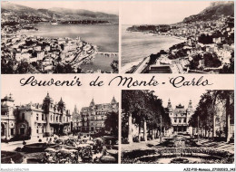 AJZP10-0962-MONACO - Souvenir De MONTE-CARLO  - Monte-Carlo