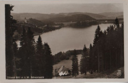 41981 - Titisee - Ca. 1950 - Titisee-Neustadt