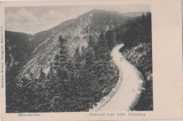 29920 - Münsterthal - Schlucht Vom Hotel Altenberg - Ca. 1915 - Elsass