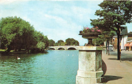 ROYAUME UNI - Angleterre - Bedford - River Avon In Stratford - Oies - Carte Postale Ancienne - Bedford