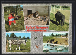 AK Gmeinweiler Bei Welzheim, Safari-Tierpark Hudelmaier  - Autres & Non Classés