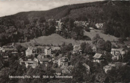 76838 - Schwarzburg - Blick Zur Burg - 1964 - Saalfeld