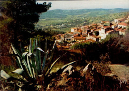 BORMES-LES-MIMOSAS    ( VAR )   RAVISSANT VILLAGE ACCROCHE AU FLANC D ' UN VERSANT ABRUPT DE LA FORET - Bormes-les-Mimosas