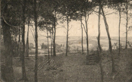 Montignies Le Tilleul   -   Bomerée   -   Sous Bois   -   1921   Naar   Antwerpen - Montigny-le-Tilleul