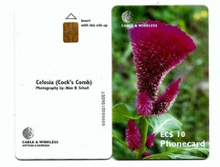 (!) ANTIGUA & BARBUDA EC$10 EXOTIC FLOWER PHONE CARD - Antigua En Barbuda