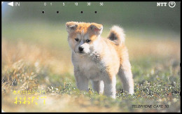 0044/ Depart 0.99 Discount Télécarte (phone Card) Japon (japan) Chiens (dogs)  - Japan