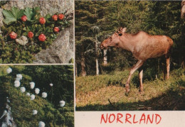 73797 - Schweden - Norrland - Mit 3 Bildern - Ca. 1985 - Sweden