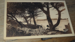 Photo GEORGE Arles , Camargue, Poste Des Quatre Marles  ............ GEOR-32 - Saintes Maries De La Mer