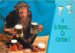 Animaux - Singes - Chimpanzé - Carte à Message - Bière - CPM - Voir Scans Recto-Verso - Affen