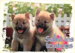 Animaux - Chiens - Chiots - CPM - Voir Scans Recto-Verso - Dogs