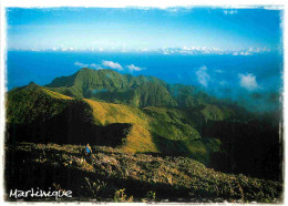 Martinique - Montagne - CPM - Voir Scans Recto-Verso - Autres & Non Classés