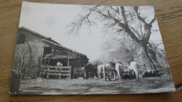 Photo GEORGE Arles , En CAMARGUE ............ GEOR-53 - Saintes Maries De La Mer