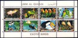 Umm Al Qiwain Oiseaux Birds ( A53 45) - Autres