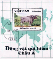 Vietnam Ox Boeuf Bos ( A53 41c) - Autres