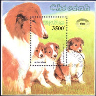 Vietnam Chien Collie Dog Hund Perro Cano ( A53 4b) - Cani