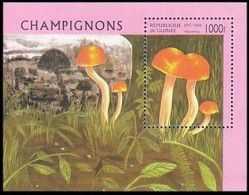 Guinee Champignons Mushrooms MNH ** Neuf SC ( A53 578b) - Mushrooms