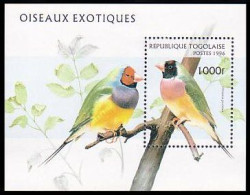 Togo Oiseau Exotique Exotic Bird MNH ** Neuf SC ( A53 537b) - Sonstige