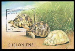 Togo Tortues Turtles Tortugas MNH ** Neuf SC ( A53 536a) - Togo (1960-...)