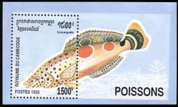 Cambodge Poissons D'aquarium Fish Fishes Fisches MNH ** Neuf SC ( A53 494b) - Poissons