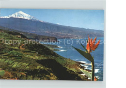 71497153 Tenerife Zona Norte Con El Teide Volcan Vulkan  - Autres & Non Classés