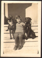 Kid Little Girl With Two Dogs  Affectionate Embraced Sitting Outside Old Photo 6x9 Cm #41236 - Personnes Anonymes