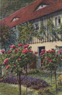 127844 - Haus Blumenreich - Altri