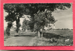 17  .ILE - DE - RE  ,  ARS   -    .cpsm  9 X 14 . - Ile De Ré