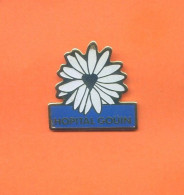 Rare Pins Hopital Gouin Fleur D636 - Médical
