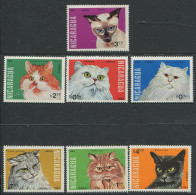 Nicaragua:Unused Stamps Serie Cats, 1984, MNH - Chats Domestiques