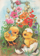 PASCUA POLLO HUEVO Vintage Tarjeta Postal CPSM #PBO747.A - Easter