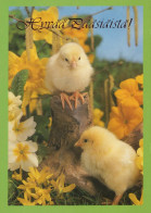 OSTERN HUHN EI Vintage Ansichtskarte Postkarte CPSM #PBO645.A - Easter