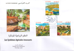 2024-Tunisie- Systèmes Agricoles Innovants :Gafsa, Djebba, Ghar El Meleh -FDC - Légumes